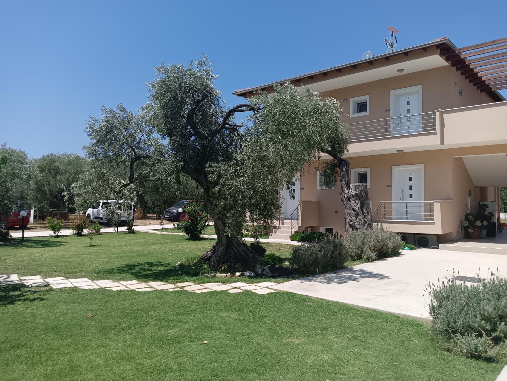 Anatoli Studios Skala Rachoni  Dış mekan fotoğraf