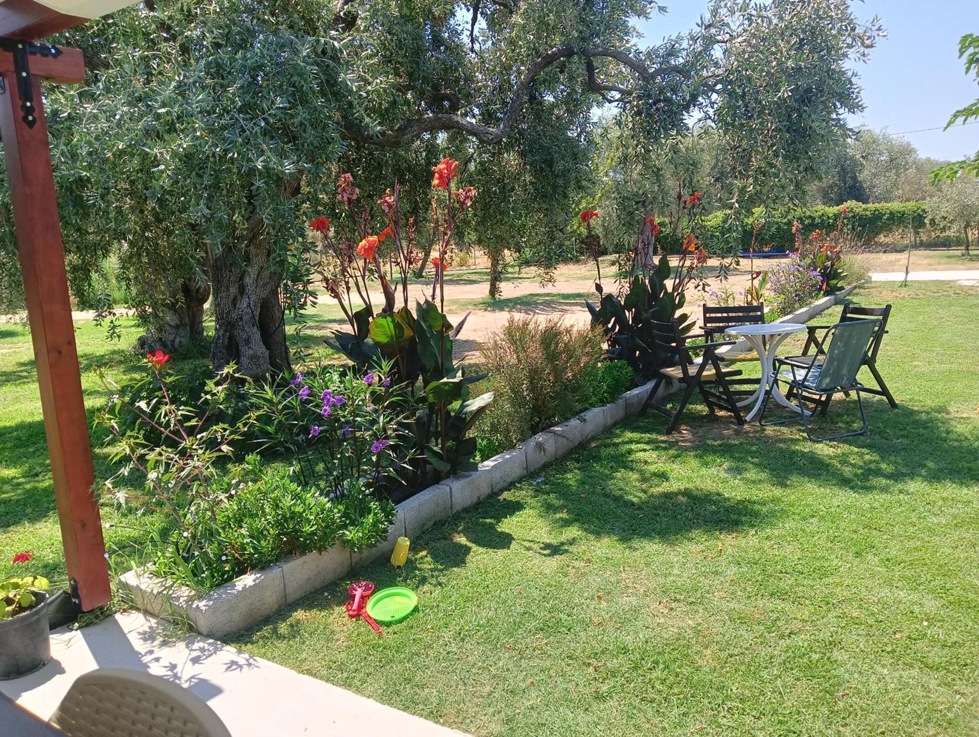 Anatoli Studios Skala Rachoni  Dış mekan fotoğraf