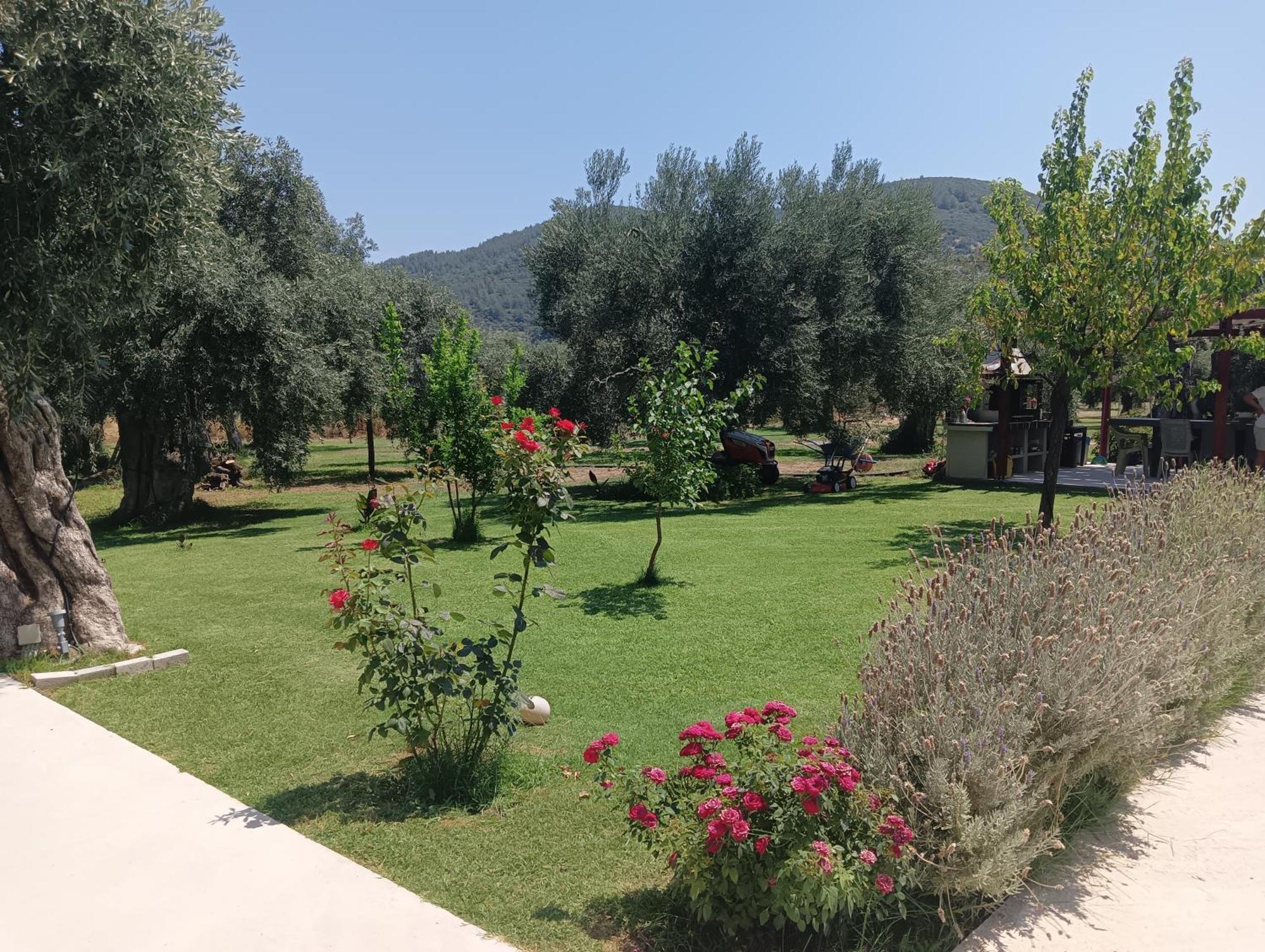 Anatoli Studios Skala Rachoni  Dış mekan fotoğraf